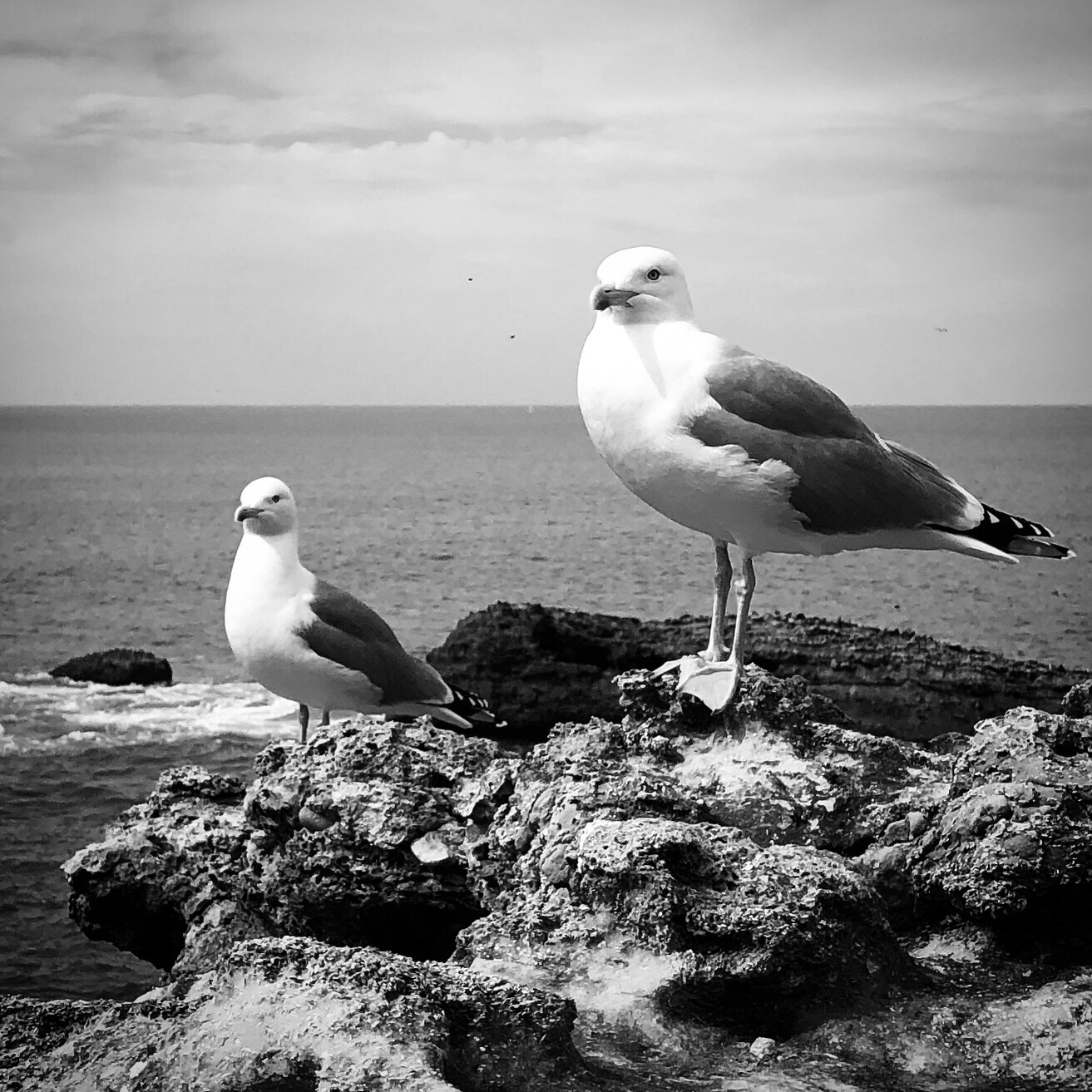 ec163381-1845-42c7-b407-6c02c81b86ef