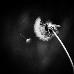 68233B5E-6D8E-4D07-8149-5CD0ABB94401